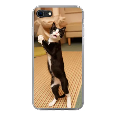 Produktbild von MuchoWow® Handyhülle Schutzhülle Hülle für iPhone 8 Katze - Wohnzimmer - Schwarz Silikon Softcase Handy Hülle - Schutzhaube