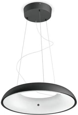 Produktbild von Philips Hue White Amb. Amaze Pendelleuchte schwarz 3000lm DS