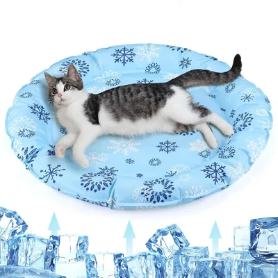 A cat is lying on a round, blue, snowflake-patterned cooling mat. Below the mat, there are several ice cubes with upward-pointing arrows, suggesting a cooling effect.