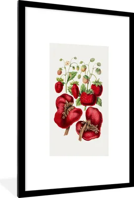 Produktbild von MuchoWow® Gerahmtes Poster Lebensmittel - Erdbeeren - Obst 60x90 cm - Poster mit Schwarzem Bilderrahmen Wandposter Rahmen Foto Bilder - Dekoration - Wandposter Wohnzimmer - Hochwertig