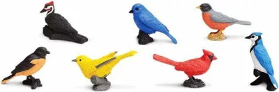 Produktbild von Safari Ltd Backyard Birds TOOB, 3 Jahr(e), Backyard Birds, Mehrfarbig