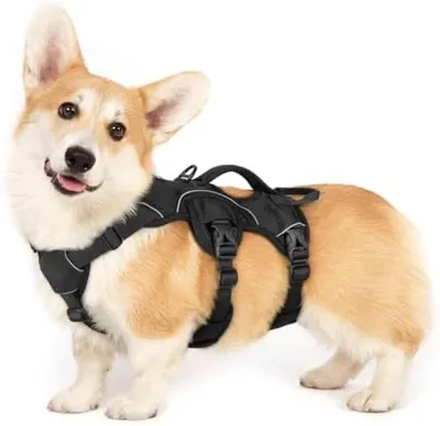 Produktbild von PolkaHome® Verstellbares Hundegeschirr mit Griff - Schwarz, Größe S - Ideal für Spaziergänge und Training