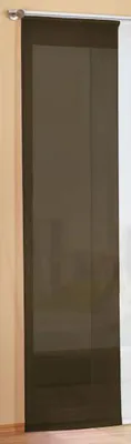 Produktbild von Preisgünstiger Flächenvorhang Schiebegardine, transparent, unifarben, mit Zubehör, 245x60, Braun, 85589