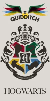 Obrázok produktu pre Harry Potter - Osuška "Quidditch" 70x140cm