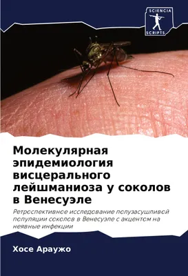 Produktbild von Molekulqrnaq äpidemiologiq wisceral'nogo lejshmanioza u sokolow w Venesuäle