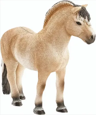Produktbild von SCHLEICH 13753 Fjordpferd Hengst