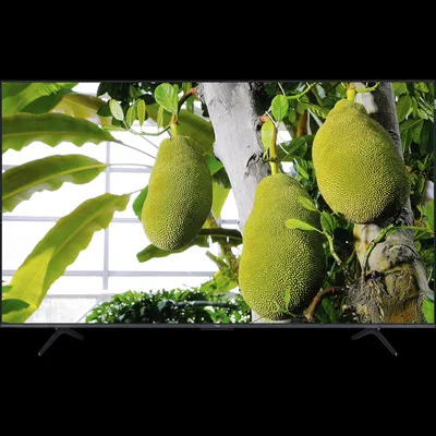 Produktbild von TCL 55T8C, 139,7 cm (55"), 3840 x 2160 Pixel, QLED, Smart-TV, WLAN, Metallisch