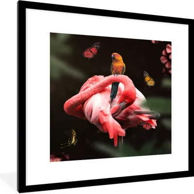 Produktbild von MuchoWow® MuchoWow® Gerahmtes Poster Flamingo - Tiere - Natur 40x40 cm - Poster mit zchwarzem Bilderrahmen - Poster - Plakat im Rahmen