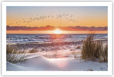 Produktbild von Poster - Poster ohne Rahmen - Sonne Strand Vögel - 91,5x61 cm - Wand Bild - Wanddeko - Wandbilder - Kunstposter - Wandposter - Bilder - Kunstdruck - Wanddekoration - Wandbild - P2XAA91x61-4727
