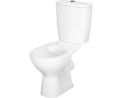 Obrázek produktu pro WC kombi set form&style NATUNA zadní odpad bez splachovacího kruhu vč. WC prkénka
