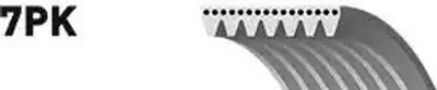 Produktbild von SNR Keilrippenriemen 2711mm für FORD Transit Mk6 Kasten (V347, V348, FA) CA7PK2711