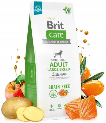 Produktbild von Brit 8595602558896, Adult, Mittelgroß (11-25 kg), Kartoffel, Lachs, 12 kg