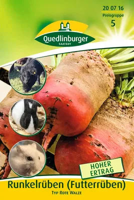 Produktbild von Rübe ' Beta vulgaris L. ' Quedlinburger Gründünger