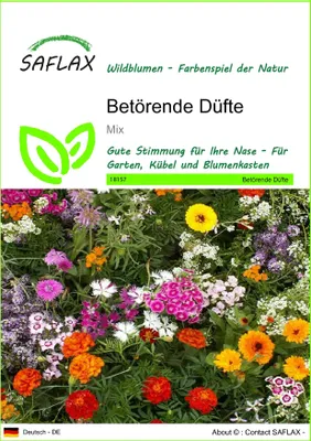 Produktbild von SAFLAX - Betörende Düfte - Mix - 1000 Samen
