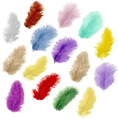 Image de KNORR prandell 216619991 Plumes de marabout env. 5 cm jaune soleil, rouge moyen, rouge tulipe, rose, bleu clair, violet clair, mûre, lilas, menthe, vert foncé, cuivré, doré, argenté