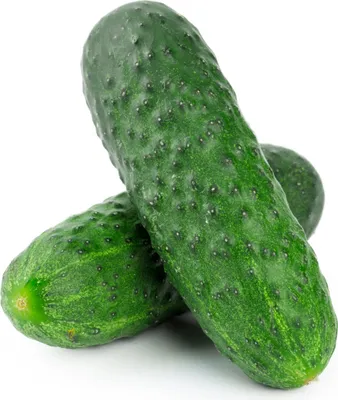 Two cucumbers are shown against a white background.
