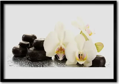 Produktbild von Bild 70x50 MDF-Rahmen Wandkunst Weiße Orchidee Blume