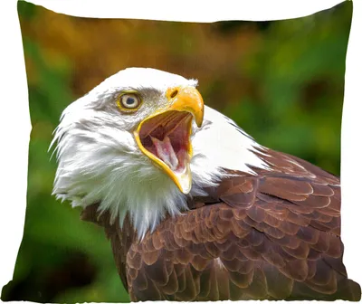 Produktbild von MuchoWow® Zierkissen Sofakissen Wohnzimmer Dekokissen 45x45 cm Ein krächzender Weißkopfseeadler - Schlafpolster - Polster für das Sofa