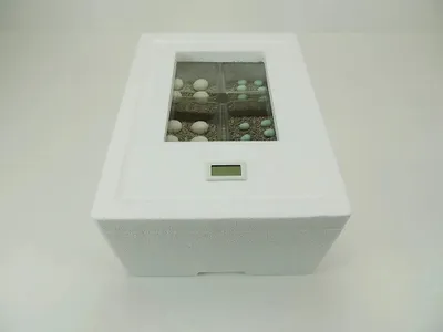 Immagine prodotto di Campo24 ST3 incubatore per rettili incubatore incubatore incubatore incubatore incubatore incubatore incubatore incubatore