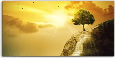 Produktbild von Coloray Acrylbild 140x70  Wandbild Acrylbilder Kunstdruck Landschaft Wasserfall Baum