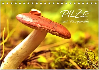 Produktbild von Pilze und Pilzgerichte (Tischkalender 2025 DIN A5 quer), CALVENDO Monatskalender