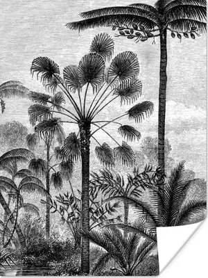 Produktbild von MuchoWow® Poster Design - Bäume - Natur - Pflanzen - Botanisch 60x80 cm - Schlafzimmer Dekoration