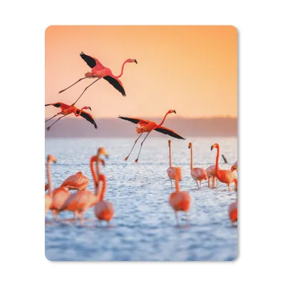 Produktbild von MuchoWow® Mauspad Mousepad Vogel - Flamingo - Wasser - Sonnenuntergang - Rosa 30x40 cm - Mousepads - Maus Mat - Pad - Mausunterlage - Mausmatten
