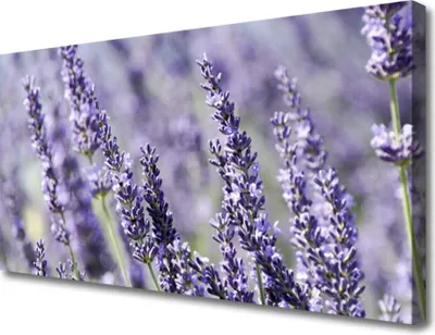 Produktbild von Tulup Leinwand-Bilder 100x50 Wandbild Canvas Kunstdruck Blumen Pflanzen