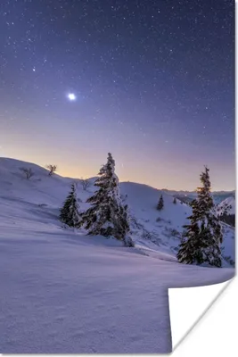 Produktbild von MuchoWow® Poster Winter - Schnee - Nacht - Bäume 40x60 cm - Plakate für die Wand - Poster Babyzimmer