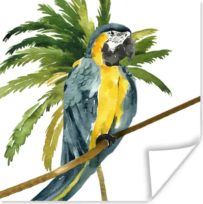 Produktbild von MuchoWow® Poster Dschungel - Papagei - Zweig 50x50 cm - Wohnzimmerdekoration