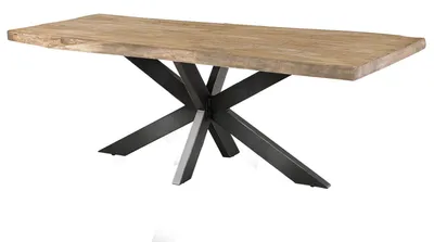 Produktbild von MASSIVMOEBEL24.DE Baumtisch Mango 220x100x77 beige lackiert / Kreuzgestell anthrazit glänzend FREEFORM 5