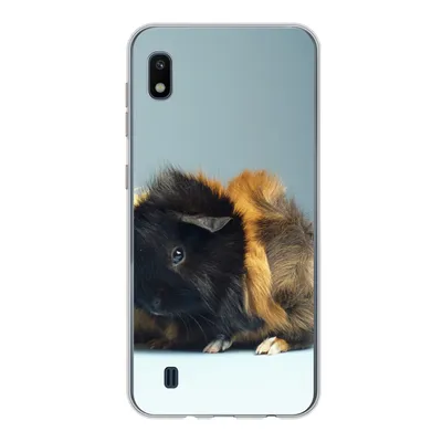 Produktbild von MuchoWow® Handyhülle Schutzhülle Hülle für Samsung Galaxy A10 Zwei kleine Meerschweinchen Silikon Softcase Handy Hülle - Schutzhülle