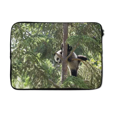 Produktbild von MuchoWow® Laptop Hülle 14 ZollPanda - Baum - Blätter Laptoptasche - Laptoptasche - Stoßsicher - Schutzhaube