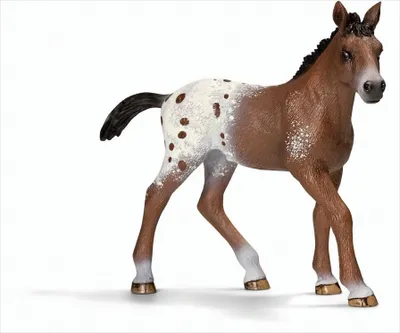 Image de Schleich Poulain Appaloosa