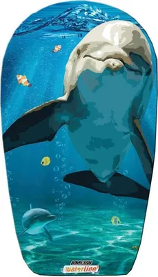 Produktbild von Kinder Schwimmbrett Motiv Delfin blau Bodyboard 84cm Schwimm Board Neu