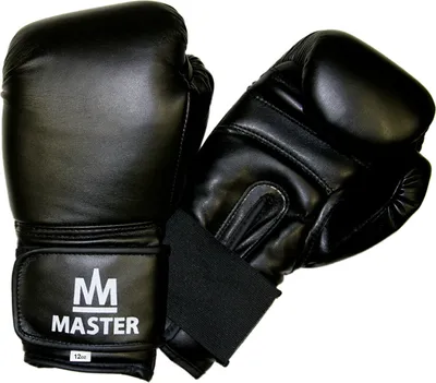 Produktbild von TG12 MASTER 12 OZ Boxhandschuhe