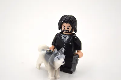 Obrázek produktu pro LEGO MOC: Vysloužilý zabiják se psem