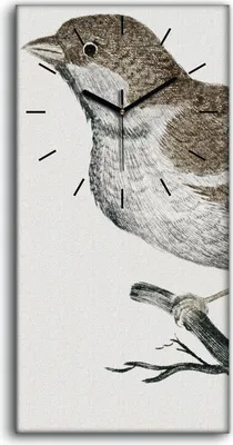 Produktbild von Küchenuhr Bürouhr Leinwand Uhr Quarz 30x60 Zeichnung Tier Vogel Zweig Kunst - schwarze Hände