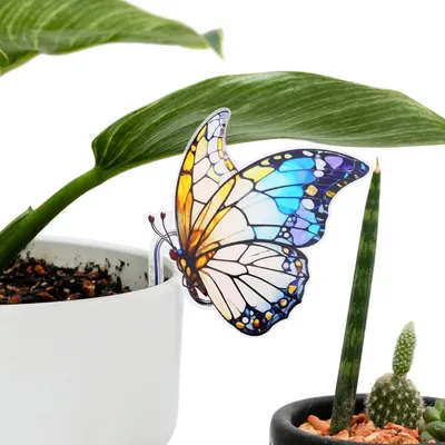 Productafbeelding van Vlinderdecoratie – Acryl – Geschikt voor tuin en potplanten – Voor binnen- en buitengebruik