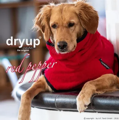 Produktbild von Dryup Cape redpepper L (65cm)