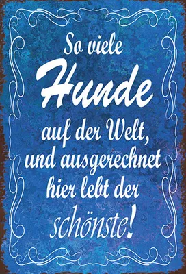 Produktbild von vianmo Holzschild 30x20 cm so vielen Hunde auf der Welt Tier Haustier