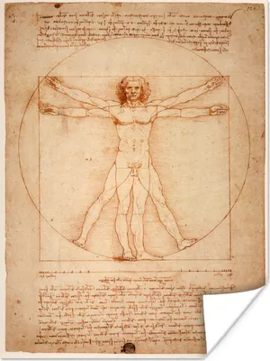 Produktbild von MuchoWow® Poster Der vitruvianische Mensch - Leonardo da Vinci 60x80 cm - Schlafzimmer Dekoration