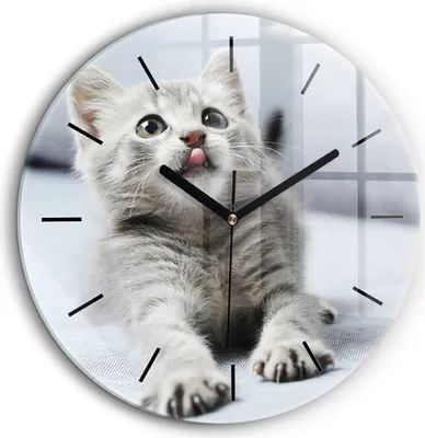 Produktbild von Wallfluent Große Wanduhr – Stilles Quarzuhrwerk - Uhr Dekoration Wohnzimmer Schlafzimmer Küche - Zifferblatt mit Striche - schwarze Zeiger - 60 cm - Katze auf einem Sofa