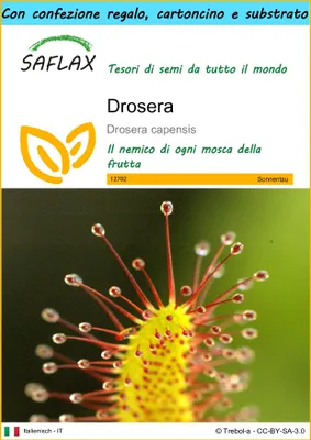 Immagine prodotto di SAFLAX Set regalo - Drosera - 200 semi - Drosera
