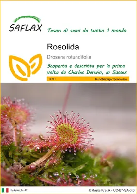 Immagine prodotto di SAFLAX  - Rosolida - 50 semi - Drosera