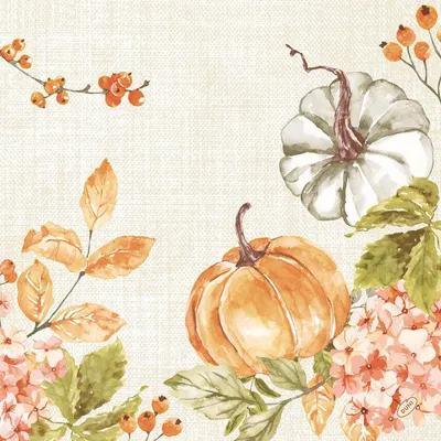 Obrázek produktu pro Duni organic Dunisoft ubrousky 40 x 40 cm Spicy Pumpkin 60 kusů