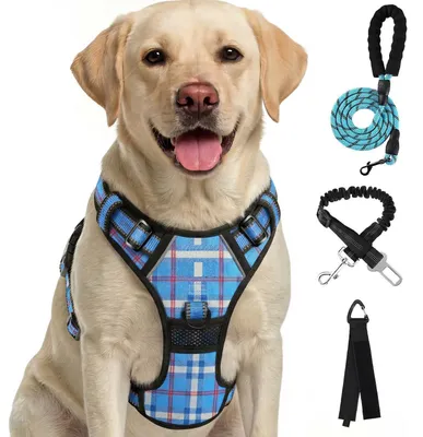 Immagine prodotto di Imbracatura per cani senza guinzaglio, riflettente, colore blu, taglia XL