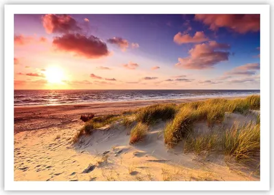 Produktbild von Poster - Poster ohne Rahmen - Meer Strand Düne - 100x70 cm - Wand Bild - Wanddeko - Wandbilder - Kunstposter - Wandposter - Bilder - Kunstdruck - Wanddekoration - Wandbild - P2XAA100x70-3540