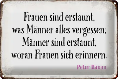 Produktbild von Blechschild Spruch 30x20cm Frauen Männer sind erstaunt was