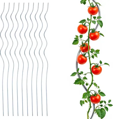 Produktbild von 3.10 Tomaten Spiralstab im 10er Set - jeweils 110 cm - Garten Pflanzstab Ranke verzinkt